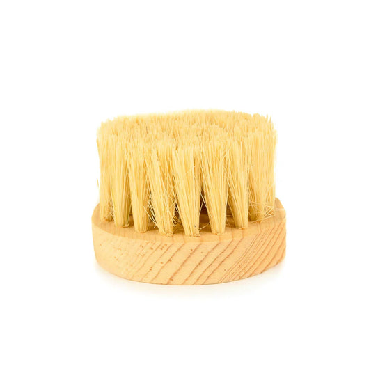 Cepillo Redondo de Limpieza Natural | Ecológico y cómodo en tu mano 🍃🧼